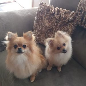 Meet your Posher, Ruthe'